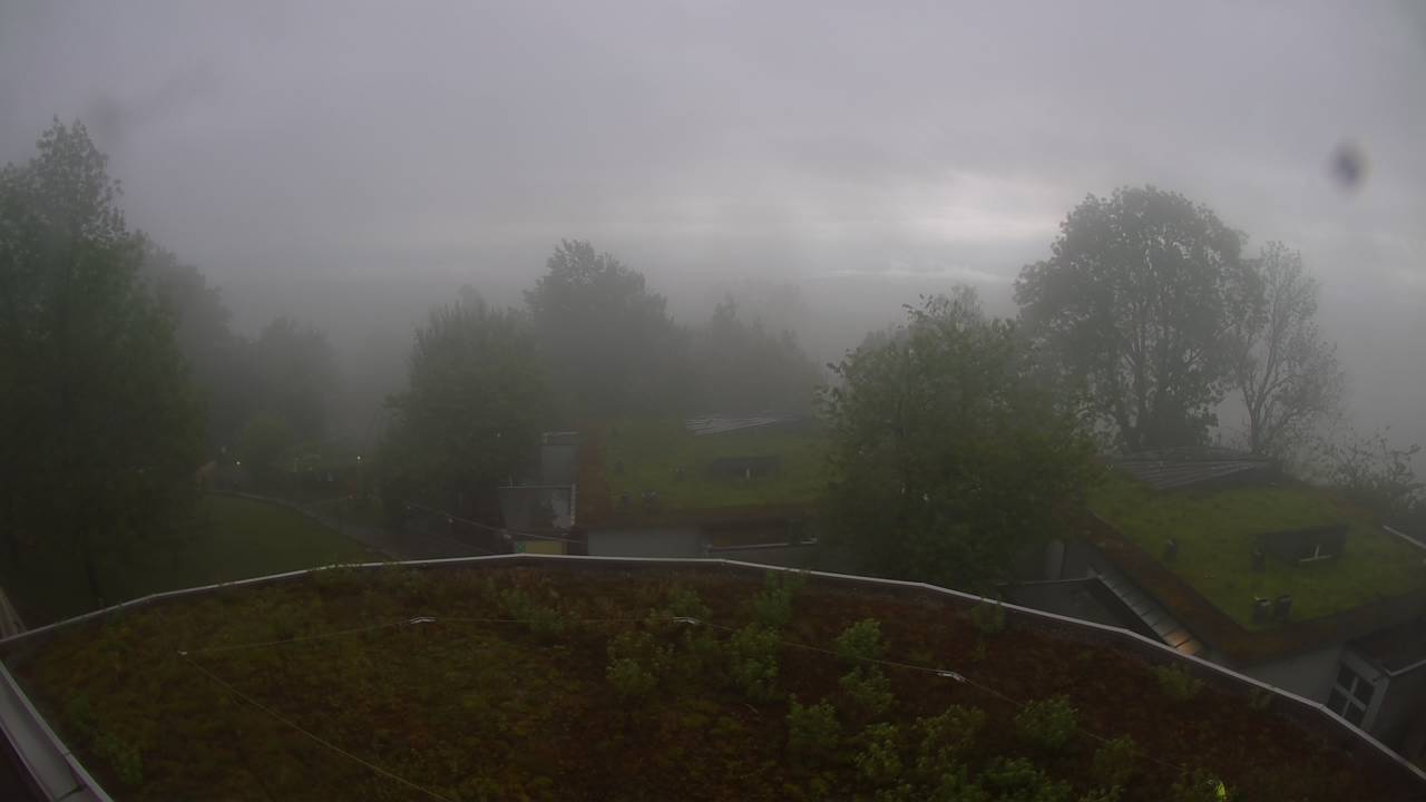 webcam